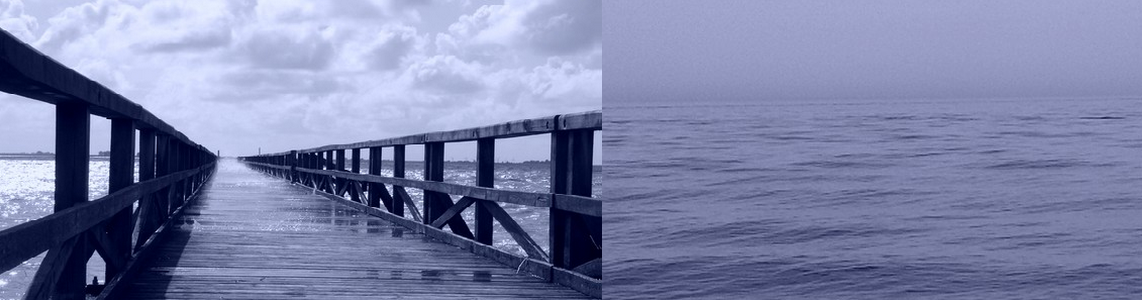 NIMBUS UNTERNEHMENSBERATUNG